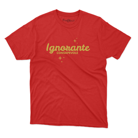 maglietta t-shirt- ignorante consapevole