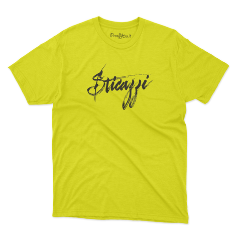 maglietta t-shirt- sticazzi corsivo