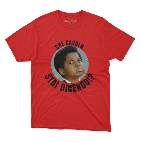 maglietta t-shirt- che cavolo stai dicendo