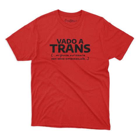 t-shirt t-shirt- I go trans